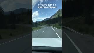 Какие дороги в горном Алтае? Altai Republic. #shorts #shortsvideo