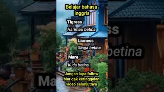 Bahasa Inggrisnya semua tentang binatang betina #bahasainggrisnya #bahasainggris