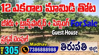 12 Acres Mango Farm Land For Sale || Tirupati District|| 7386888988 || #MedhanshiRealEstate||MRE-305