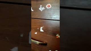 VID 20190705 WA0051