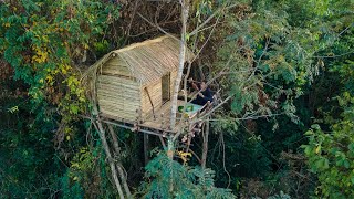 Amazing! Girl Build The Most Beautiful Bamboo Tree House