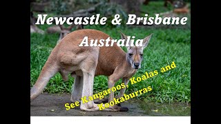 Discover The Best Of Newcastle And Brisbane Australia On The Ultimate World Cruise