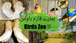 بہت پیارے پرندے اور گارڈن کی سیر | Beautiful Birds and Garden visit | Food and tours