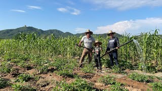 LA FALTA DE LLUVIA NOS ￼OBLIGA A REGAR LA MILPA DE ESTÁ MANERA