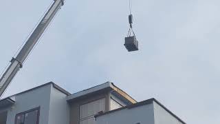 Green Roof Delivery