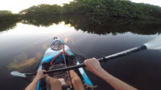 Summertime Fishing at the Placido Bayou in Tampa Bay