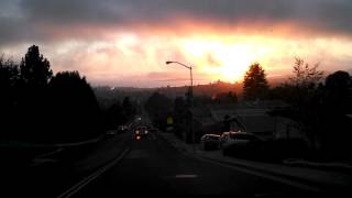 Sunset, Berkeley Hills Bay View with Bowie