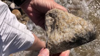 Secret Access to Petoskey Stones in Petoskey, Michigan - Tannery Creek Trailhead