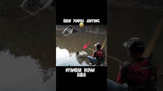 WASPADA !!! DIA MENYERANG TIBA TIBA @Aibrean20 #fishing #mancing #casting