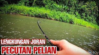 Stream Fishing || Beli gewang || Test || Strike || Sungai Tagal Nuntunan