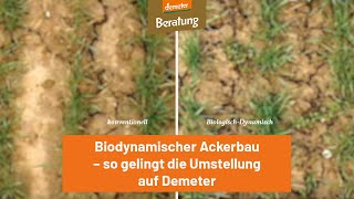 Biodynamischer Ackerbau – so gelingt die Umstellung auf Demeter