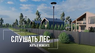 Слушать лес 🌳 Жить в моменте ☀️