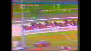 1980s trots clips of well known Victorian horses