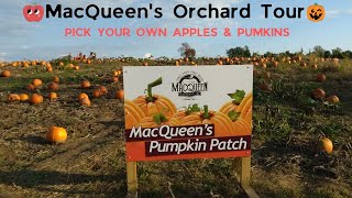 MACQUEENS ORCHARD TOUR| PICK YOUR OWN FALL 🍏APPLES AND HALLOWEEN PUMPKINS| NATURE WALK 🍎