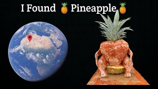 I Found Giant🍍Pineapple🍍On Google Earth & Map