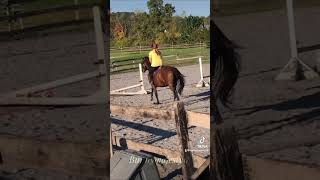 Horse back riding