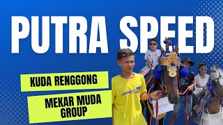 Kuda Renggong putra speed Mekar Muda group Dancing Horse