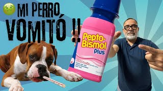 Le di PEPTO BISMOL a mi Perro PORQUE VOMITÓ