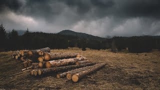 Heavy Thunderstorm Sounds and Ambience | Thunder, Rain, Rainstorm Storm White Noise | 12 Hours 4K