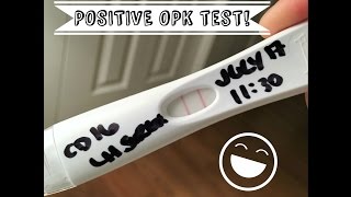 POSITIVE OPK TESTS AND PROGRESSION | TTC VLOG