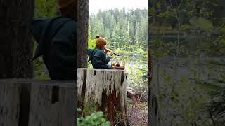 First Time Mushroom Picking at Gifford Pinchot Forest! #pnw #mushrooms