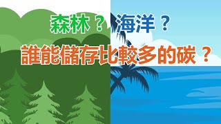 【森林VS海洋，誰能儲存較多的碳 ?】氣候變遷下藍碳戰略