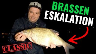 Brassen Eskalation - Feedern am Rhein-Herne-Kanal! || Classic Folge || Pantoffel angelt