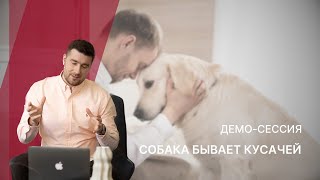 Демосессия КПТ /  РЭПТ  " Собака бывает кусачей"