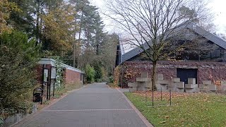 Waldfriedhof Bielefeld-Sennestadt 10.11.2024