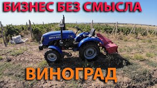 Пятнадцать тысяч Евро на гектар - в чем смысл бизнеса виноградарство и виноделие. Трактор ХТЗ