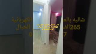 قريه شاطئ النخيل العجمي اسكندريه الكيلو 21