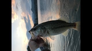 Rattle Trap Through the Grass in THE MIDDLE OF NOWHERE