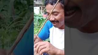 mancing parai kedua kalinya diempang bapak ncep ikan parai agresif cepat sekali menyambar umpan