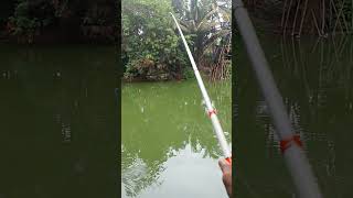 Mancing ikan belanak teknik pelampung #shorts #mancing #mancingbelanakbabon