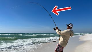 This Is Why So Many People are Fishing The Beach Right Now!