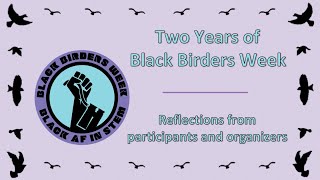 Two Years of Black Birders Week: Reflections from Participants and Organizers