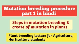 Mutation breeding procedure part 1 in hindi|Mutation breeding method|how to create mutation in plant