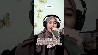 Cover Cindai( karaoke live)