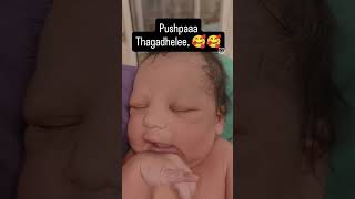 #trendingshorts #cutebaby #cuteexpressionstatus #plz_subscribe_my_channel