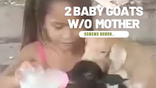 Feeding A 2 Baby Goats Without A Mother| kawawa ang baby goats | BbJane likes to feed#animals #love