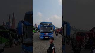 Telolet Basuri Bus Pasak Bumi Toga Trans #travelojol #shorts #yearofyou #basuri #telolet #basuriv4