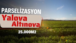 Yalova Altınova'da 25.000m2 Parselizasyon Arazisi #gayrimenkul #finance #arsa #villa