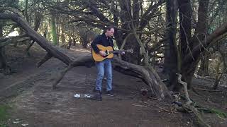 looping guitar at Kingley Vale