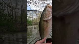 Nice bass on OG Tiny