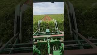 Modern Agriculture Machines That Are At Another Level4 #shorts #shortsfeed #short #shortsvideo