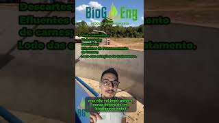 Efluentes com muito potencial de geração de biogás em abatedouros ! #biogas #agronegocio