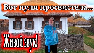 Чиж и Ко, исп. Владимир Need Soul Кузьмин - Вот пуля просвистела (cover version)