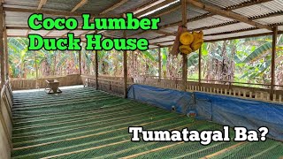 EP-054 | Duck House Coco Lumber After 11 months Ok Paba?