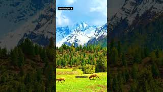 Stunning Views of Bilchhar Dobani Peak: Clouds & Mountains in Pakistan's Hidden Gem