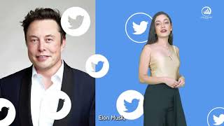 Musk cobrará por el verificado de Twitter